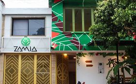Zamia Hostel